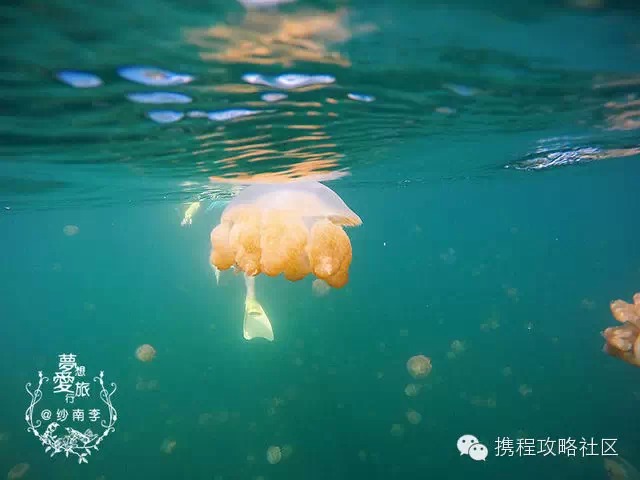 不用签证花费最低的国家,五个好玩不贵的免签证国家