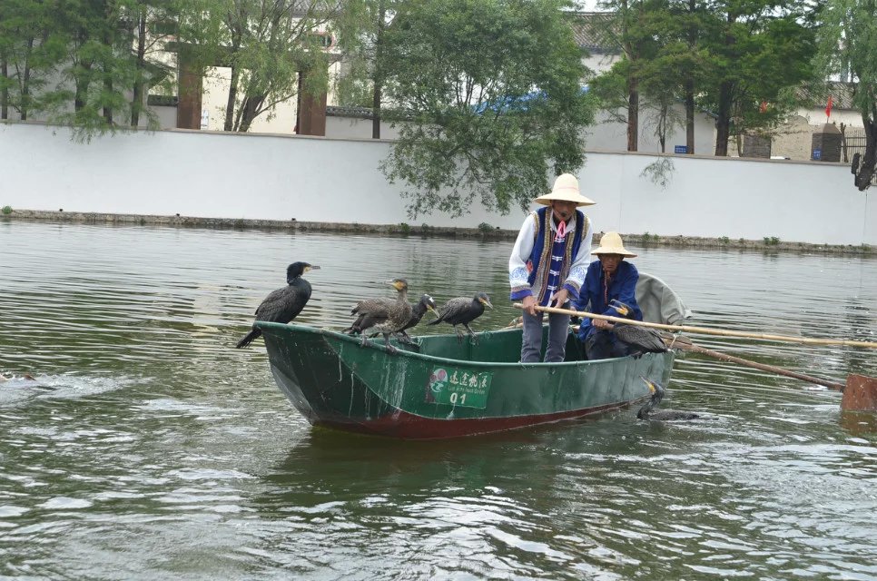 云南有三宝是什么东西,云南有三宝吗