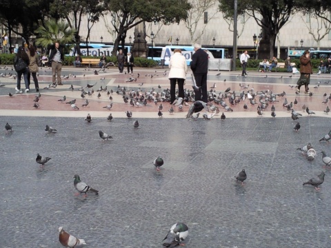 流星花园精彩片段,流星花园巴塞罗那喷泉