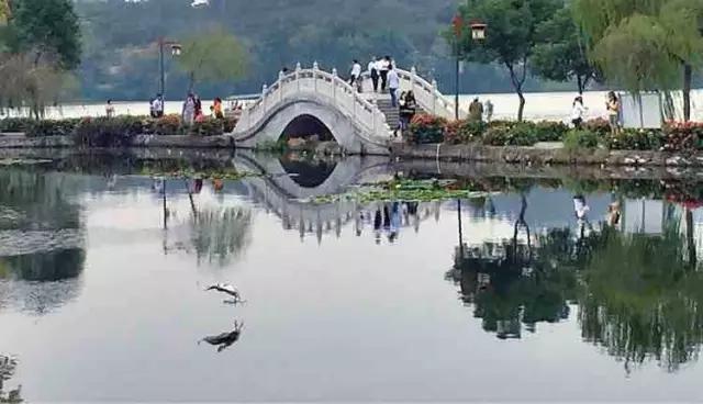 骞夸笢鎯犲窞瑗挎箹椋庢櫙,鎯犲窞灏忚タ婀栭鏅尯