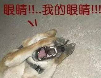 我国古代幽默笑话书籍,古代讲笑话的书