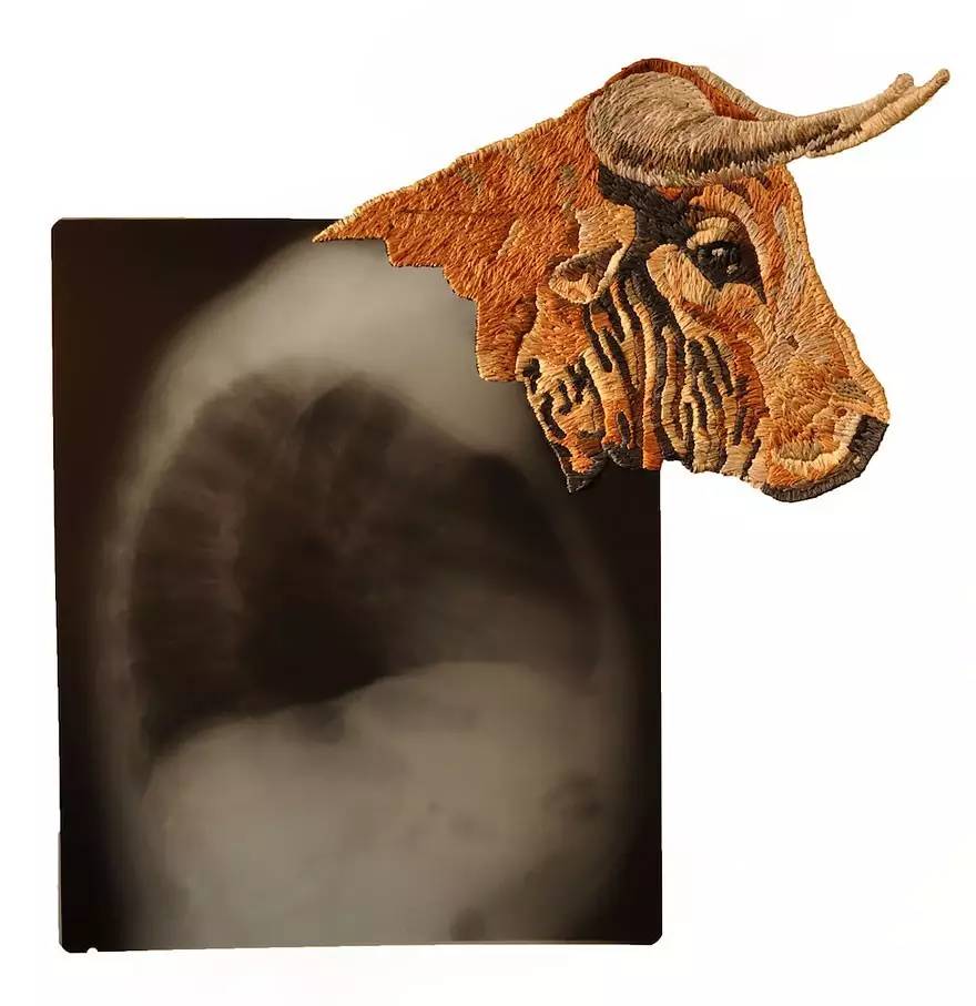 我说！你能不能找个正经地方好好绣花~