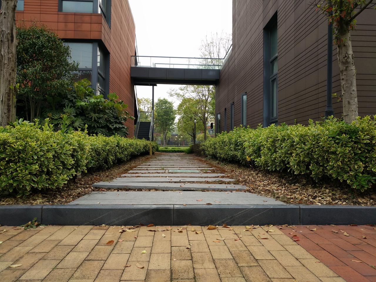 vivoxplay5深度评价,vivoxplay5的性能与其他手机相比