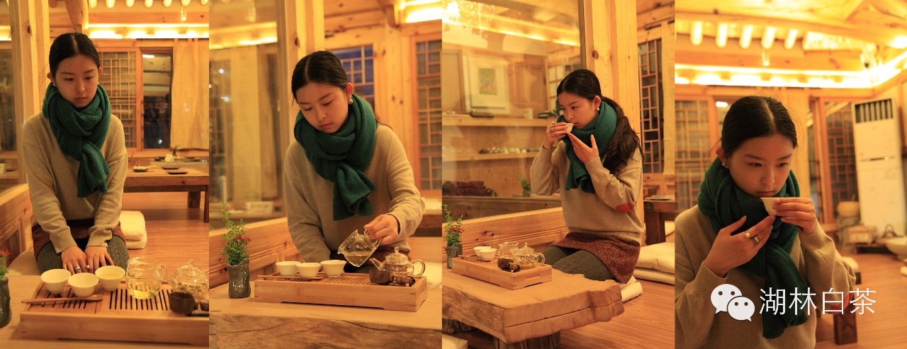 白茶的美句,白茶那么好你真的懂吗