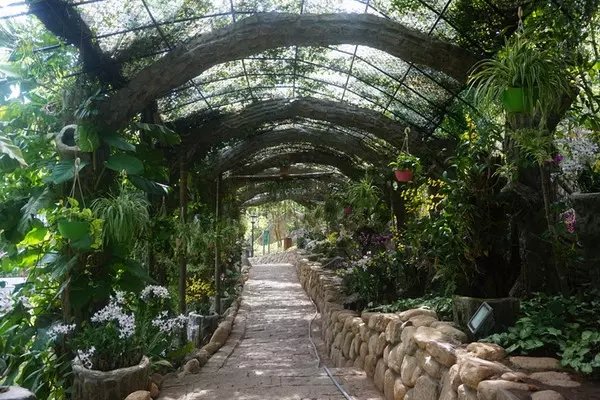 感受海岛三亚的浪漫,三亚湾浪漫之旅