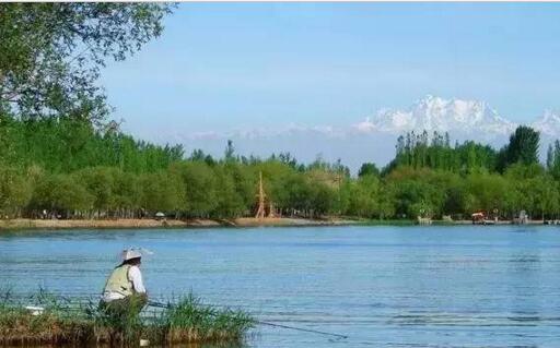 垂钓知识及钓鱼技巧,常见鱼种钓鱼技巧图解