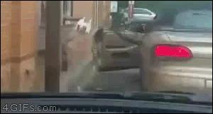 搞笑gif趣图这回头一笑绝了,张译笑得喷饭gif