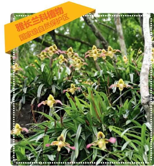 地球之王,地球之王是什么小说