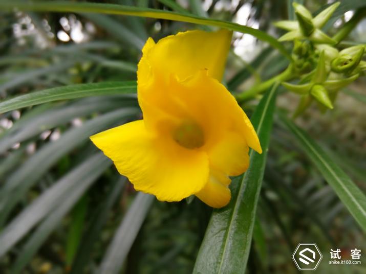 360手机f4s评测,360手机f4质量怎么样