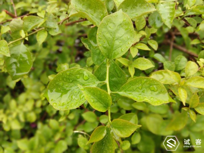 360手机f4s评测,360手机f4质量怎么样