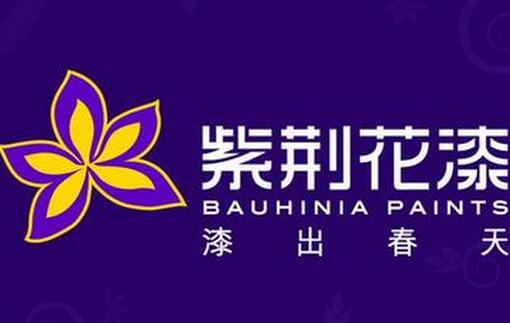 家装油漆十大品牌排行榜最新,家装油漆排名经典