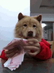 震惊！高明人居然俾呢十大家族控制住！