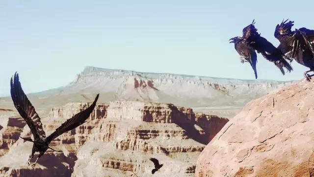 细微处用力，可得笃实光辉——16年高分录取学姐带你考研