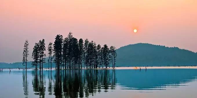 五一好去处~除了竹海善卷洞,宜兴的这些地方也很美~