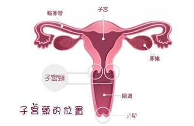 滚蛋吧肿瘤君插曲sunshinegirl,滚蛋吧肿瘤君歌曲