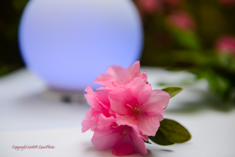 mipow智能音箱,mipow小夜灯