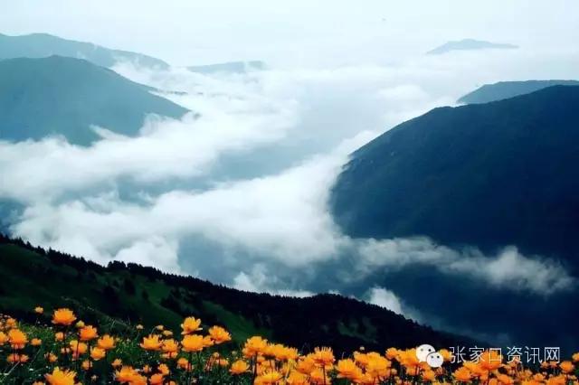 对不起,五一我就呆在张家口!别再约我了!