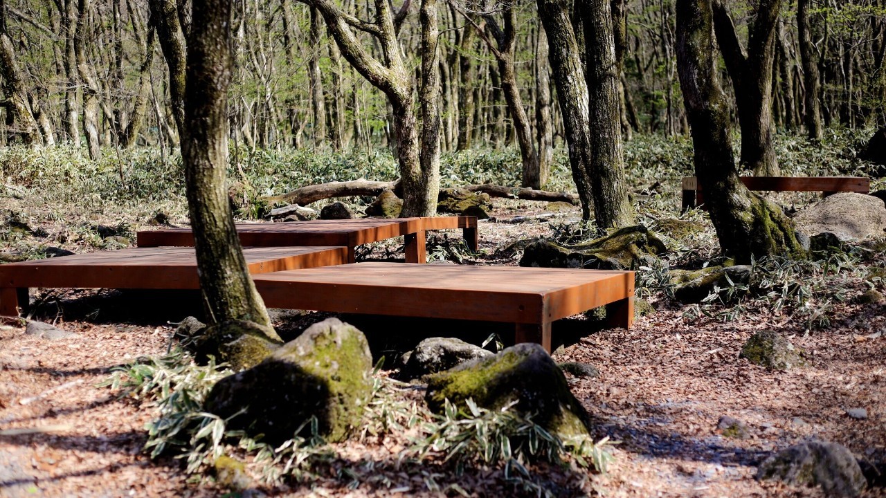 全过程记录，揭秘廉价济州岛跟团游背后的真相