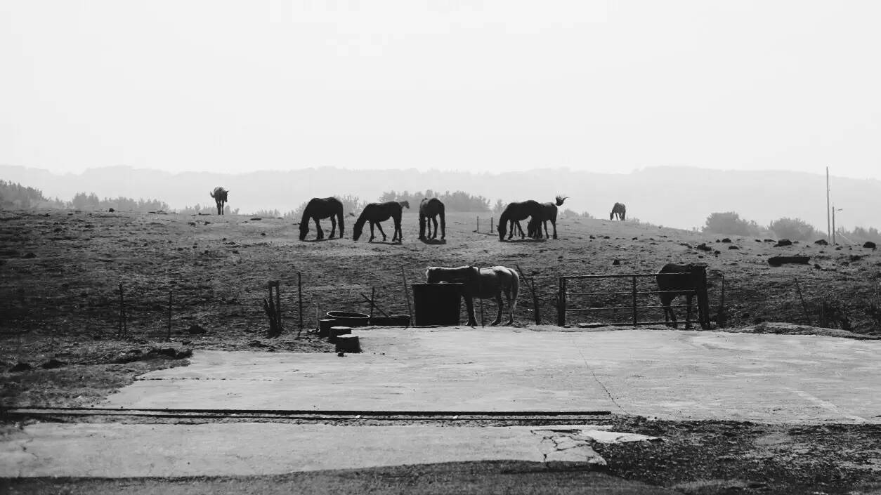 全过程记录，揭秘廉价济州岛跟团游背后的真相