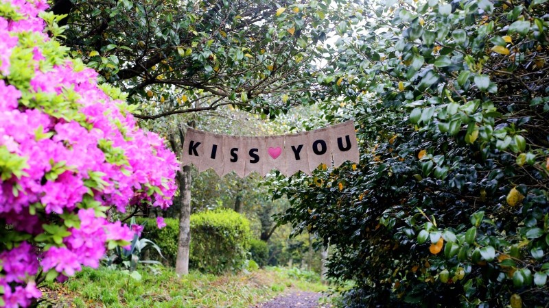 全过程记录，揭秘廉价济州岛跟团游背后的真相