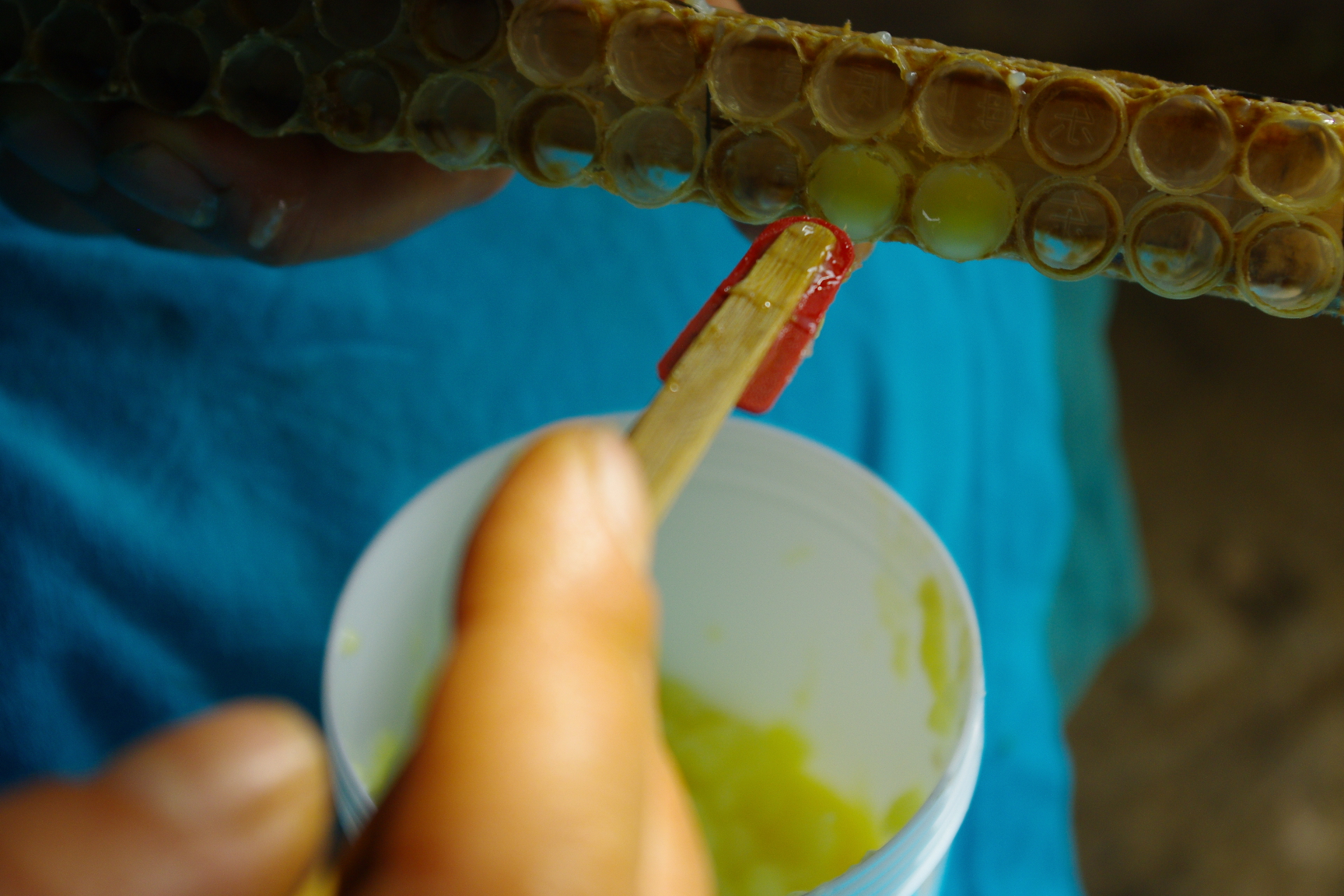 同样是蜜蜂产的,只有它不会被造假