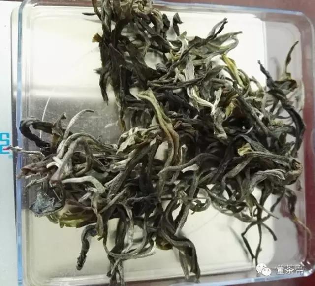 易武普洱茶特点和口感,易武普洱茶常识15条