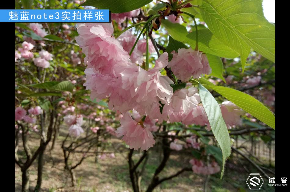 续航持久不发热手机,魅蓝note3续航