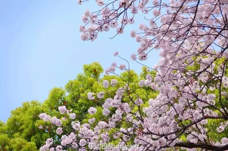 玩色上瘾｜用色彩发现旅行带你玩八度空间