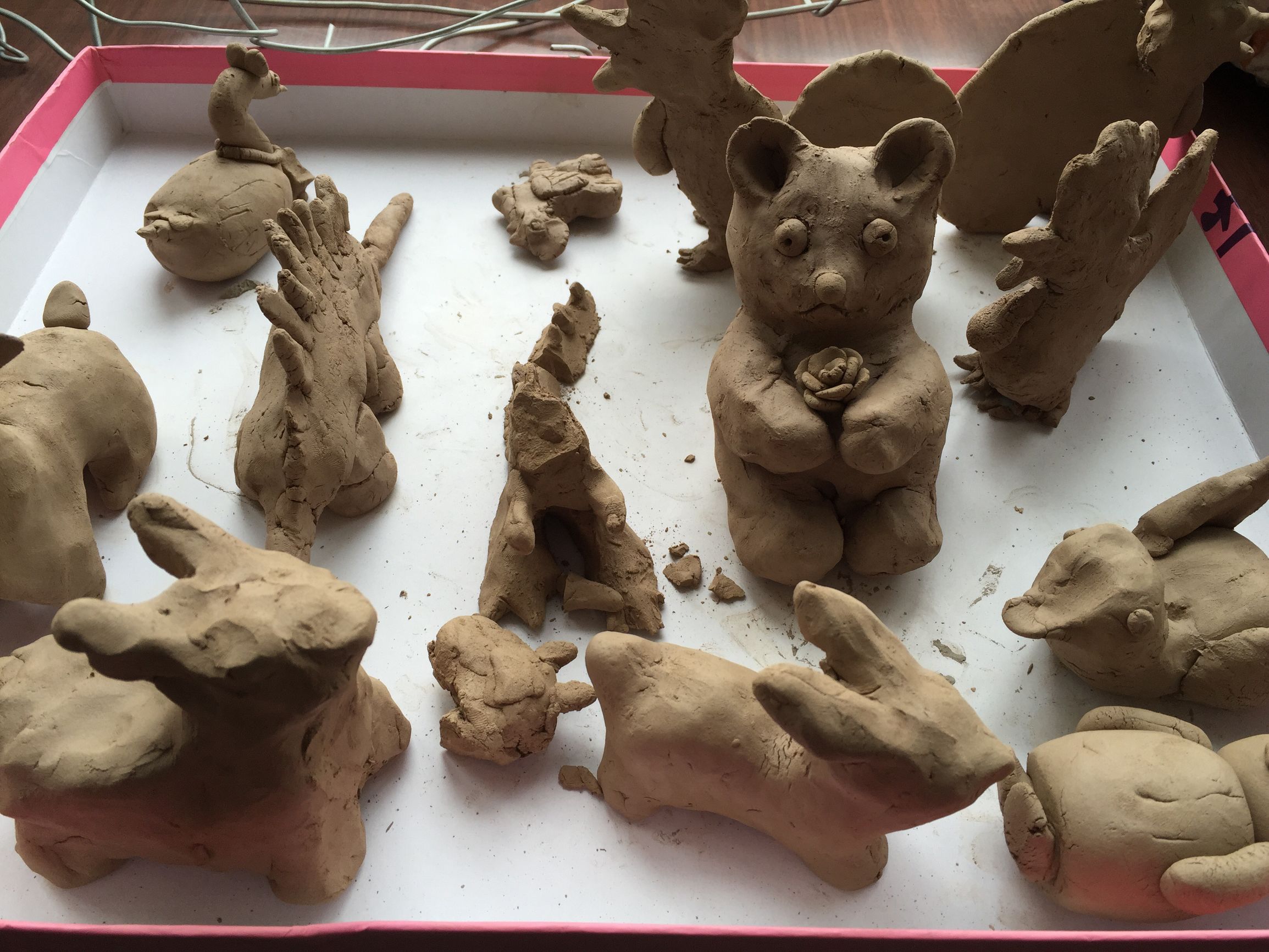 西安高新国际小学,西安高新国际小学怎么样