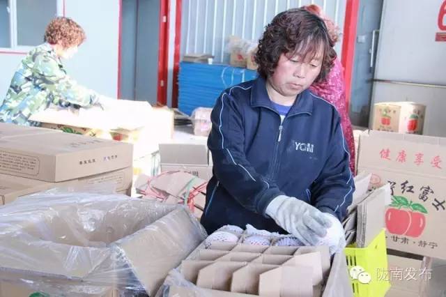 一天时间，陇南电商观摩组看了什么”点“？取了哪些”经“？