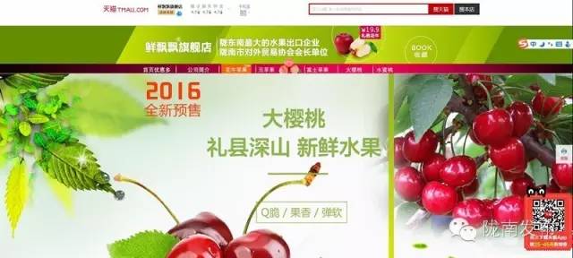 一天时间，陇南电商观摩组看了什么”点“？取了哪些”经“？