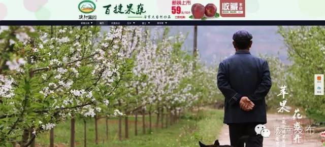 一天时间，陇南电商观摩组看了什么”点“？取了哪些”经“？