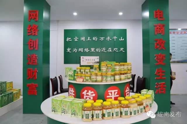 一天时间，陇南电商观摩组看了什么”点“？取了哪些”经“？