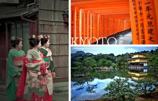 曼莉专栏｜葡萄*妞小**随妈游日本