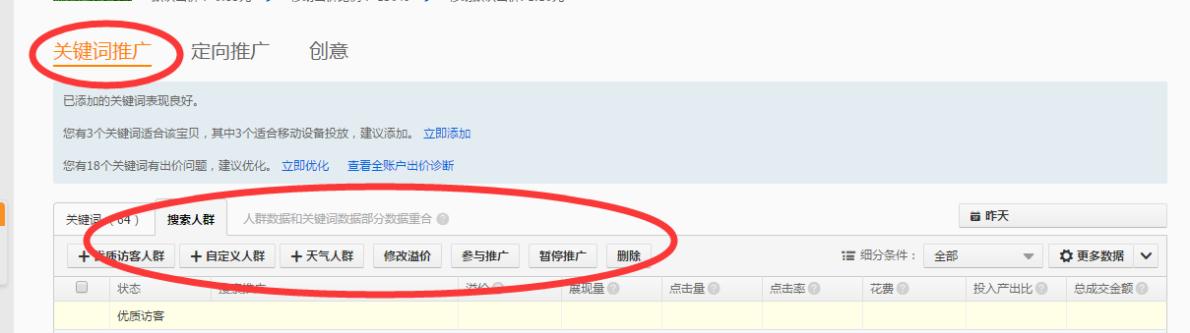 直通车定向推广入门,直通车定向推广基础教程图