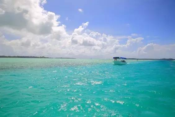 帕劳旅游报价携程,帕劳深度旅游攻略