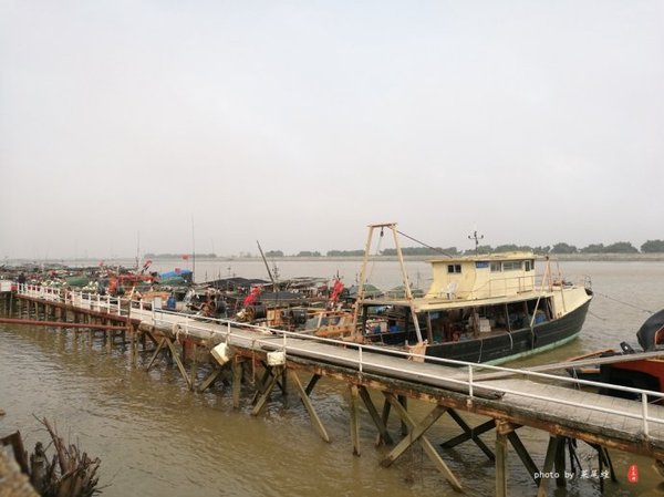 珊瑚海日本,陪你去看海底世界