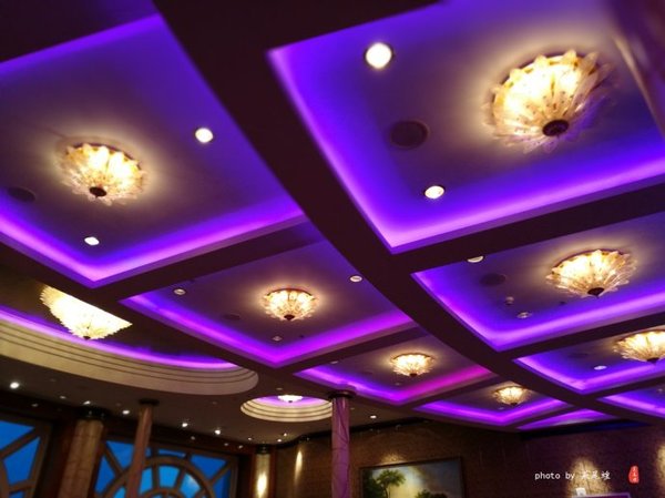 珊瑚海日本,陪你去看海底世界