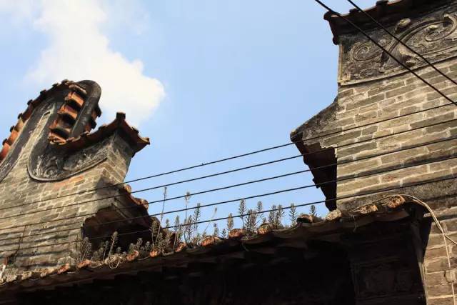 乐活|太美了！不用远赴江南，原来广州隐藏这些“小周庄”！