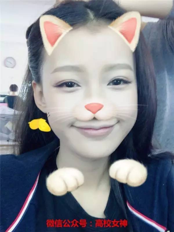 张雪迎十五年等待候鸟照片,十五年等待候鸟张雪迎孙怡