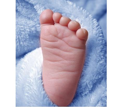 一脚定天下代表什么生肖,一脚定乾坤是什么