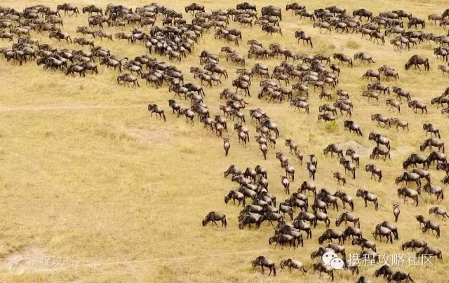 不用签证花费最低的国家,五个好玩不贵的免签证国家