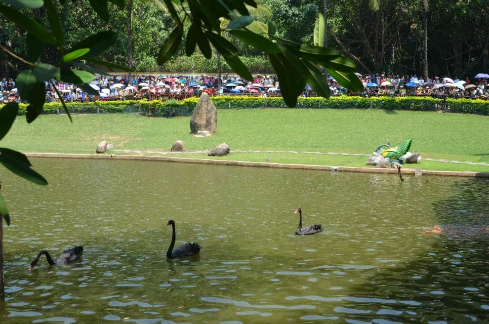 云南有三宝是什么东西,云南有三宝吗