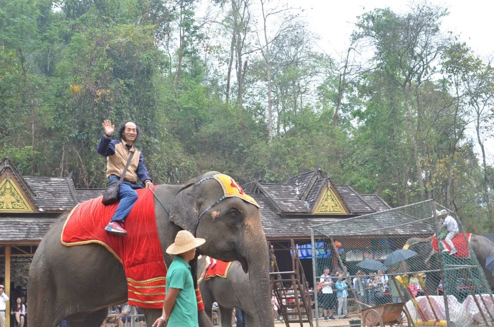 云南有三宝是什么东西,云南有三宝吗