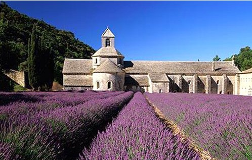薰衣草基地游玩攻略图文大全,薰衣草节旅游攻略