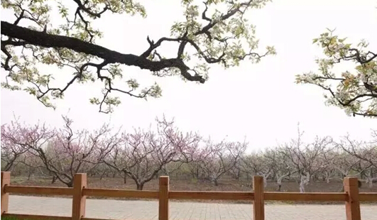 在德州，你可以不买，但是你不可以不知道！