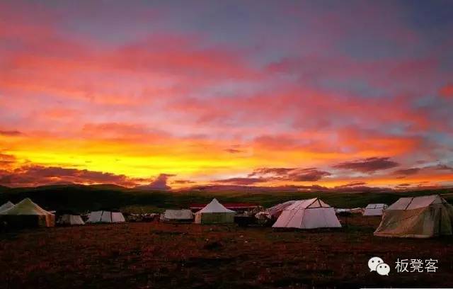 金姐吐槽一针见血,金姐一针见血完整视频