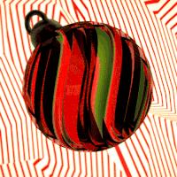 我跟与倪妮做邻居的姐姐聊了聊，她买菜时都背什么包