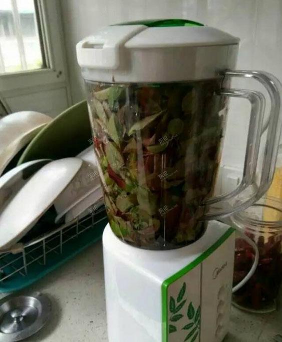 吃过这种饭么?营养价值很高!我从山上摘来树叶...