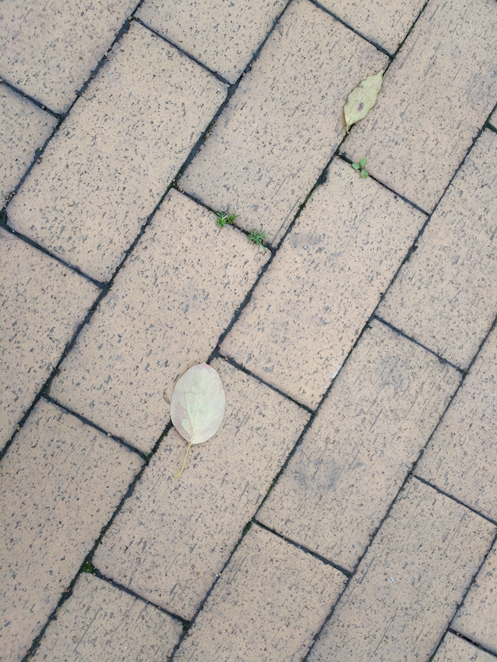 vivoxplay5深度评价,vivoxplay5的性能与其他手机相比